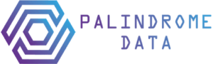 Palindrome Data logo